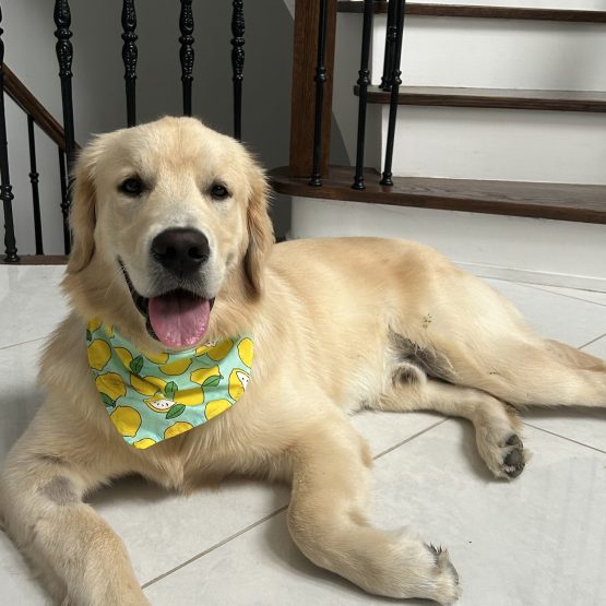 Tyson