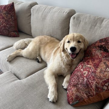 Penny