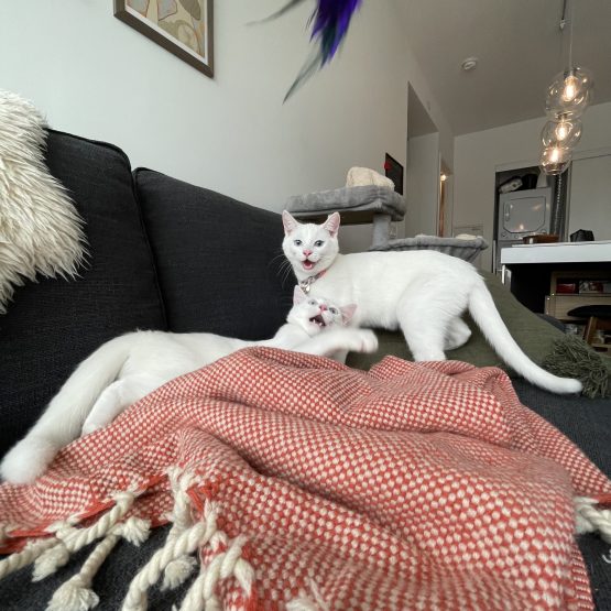 Aurora and Selene