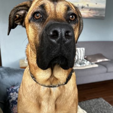 Daisy Moose
