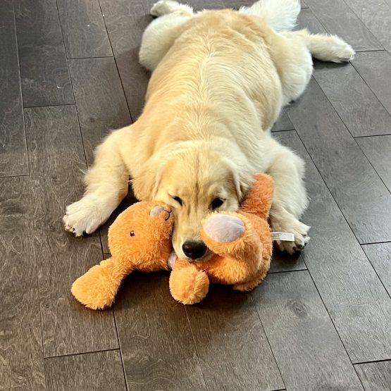 Penny