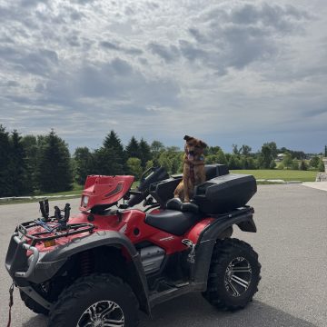 Maverick