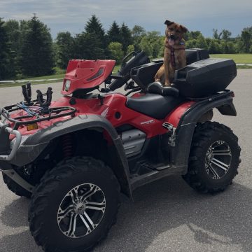 Maverick