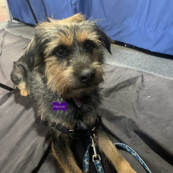 Howie