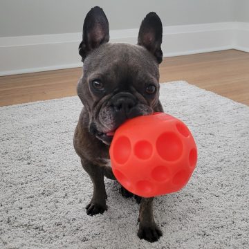 Greta