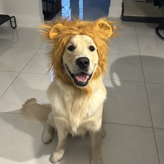 Tyson