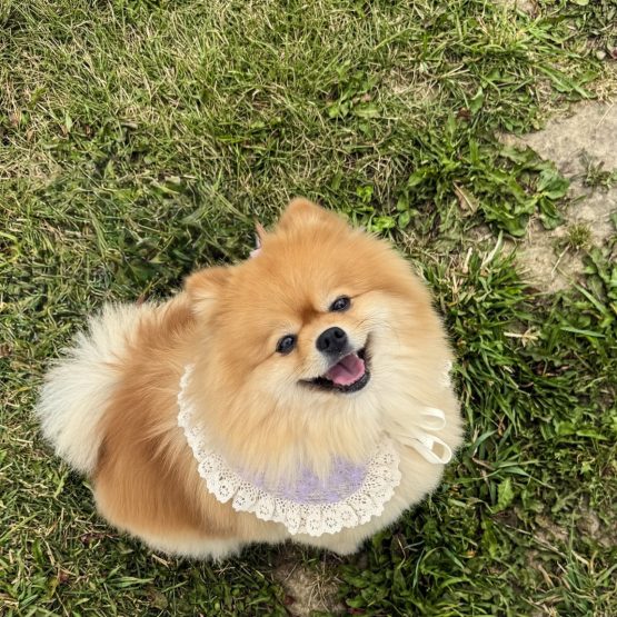 Sophie