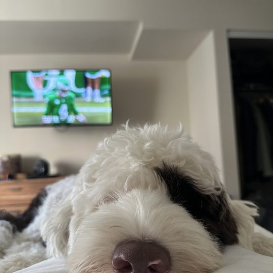 Rory