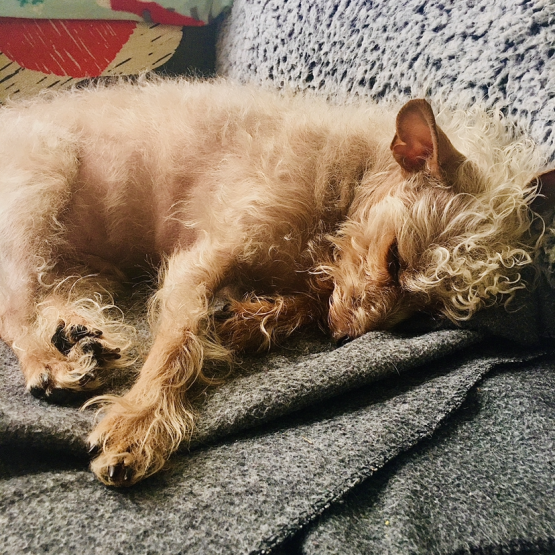 BRADY