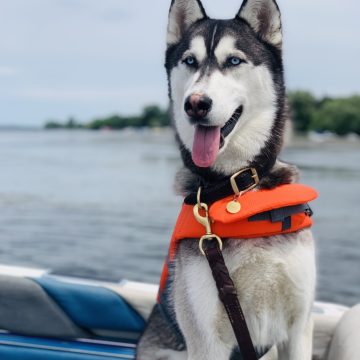 Atka