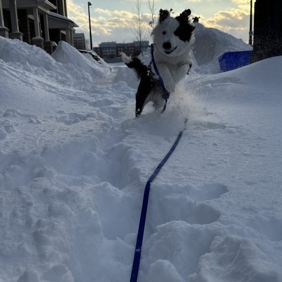 Juno