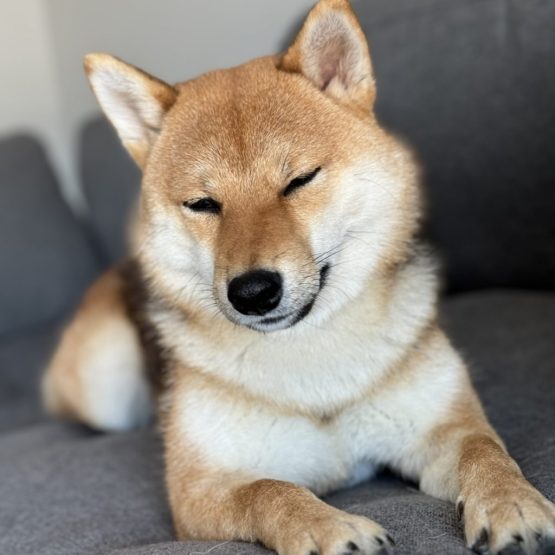 Mimi