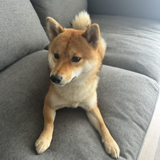 Mimi
