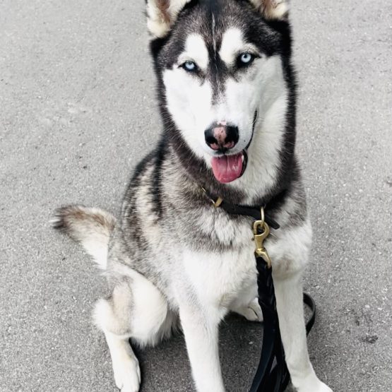 Atka