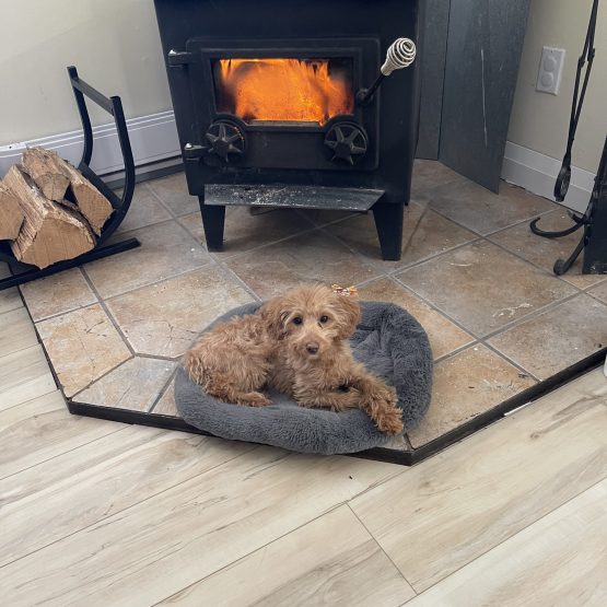 Sophie