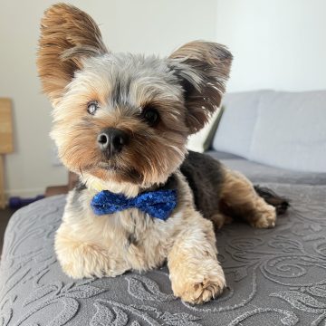 Wally