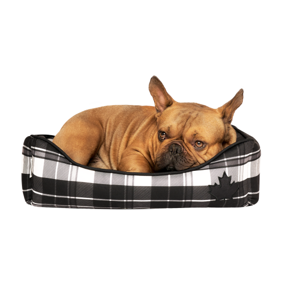 Jocko