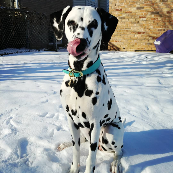 Macy