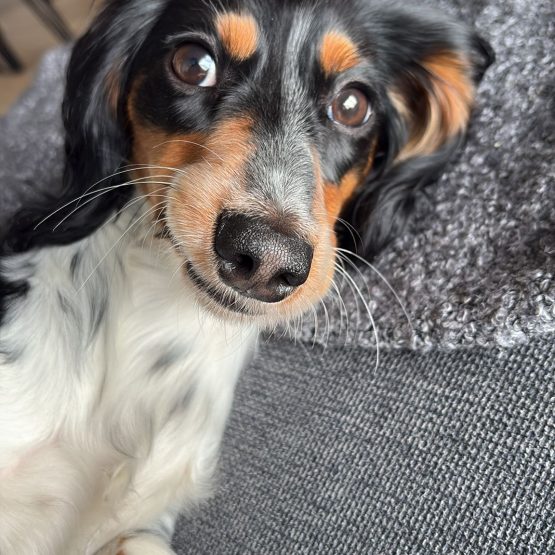 Billie