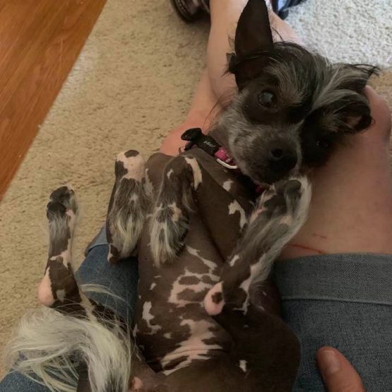 Phoebe