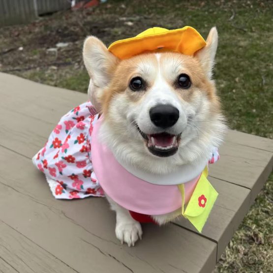 Winnie