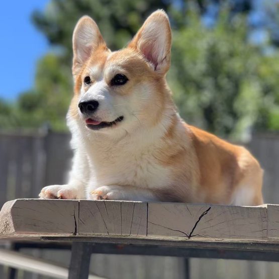 Winnie