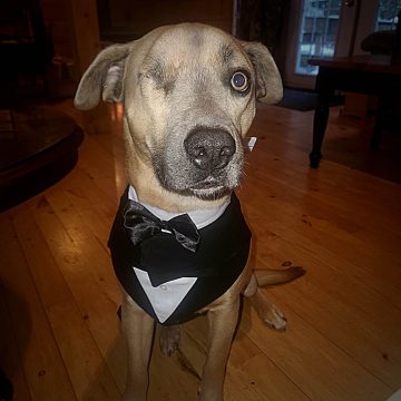 Ruger
